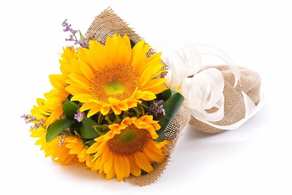 Flower-Arrangement-Sunflower-Posy Posy Bouquet Workshops