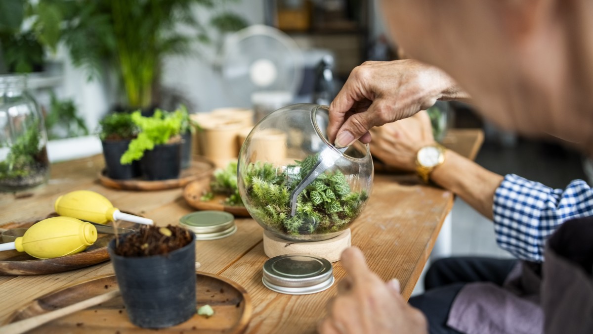 Why Terrarium Workshops Make Memorable Friend Group Outings - Craft Labs, Singapore - 2026